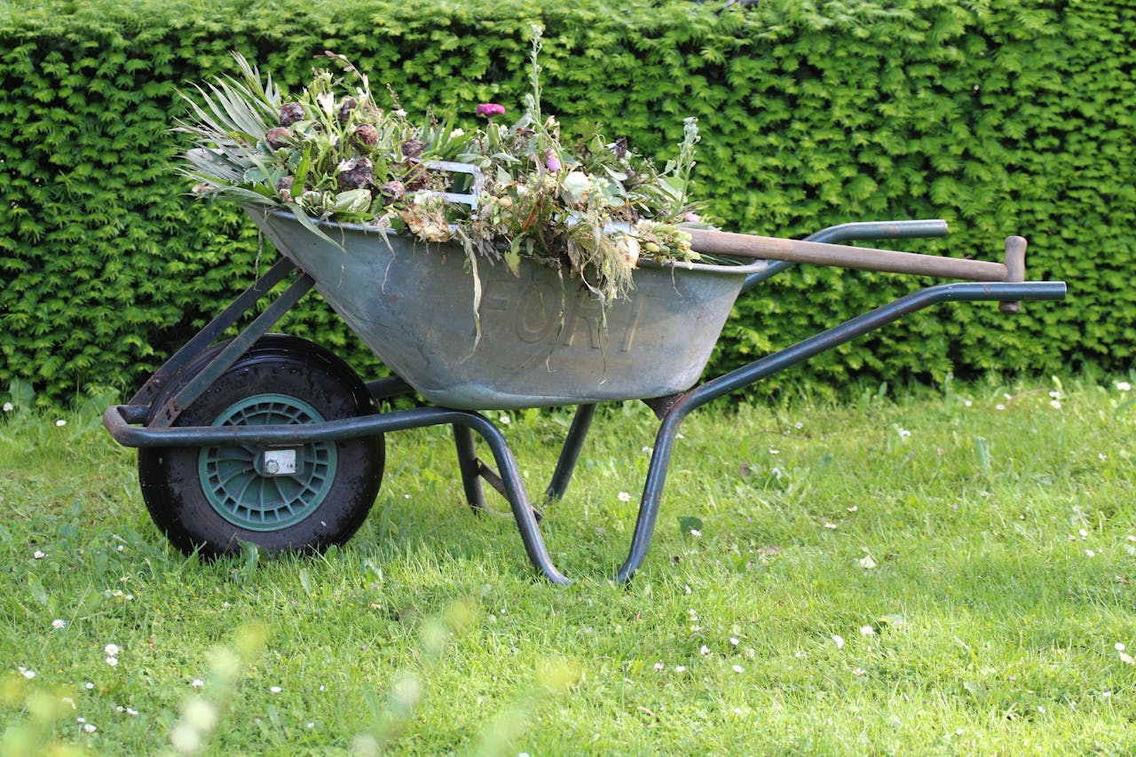 Jardinage courant - binage et entretien du sol
