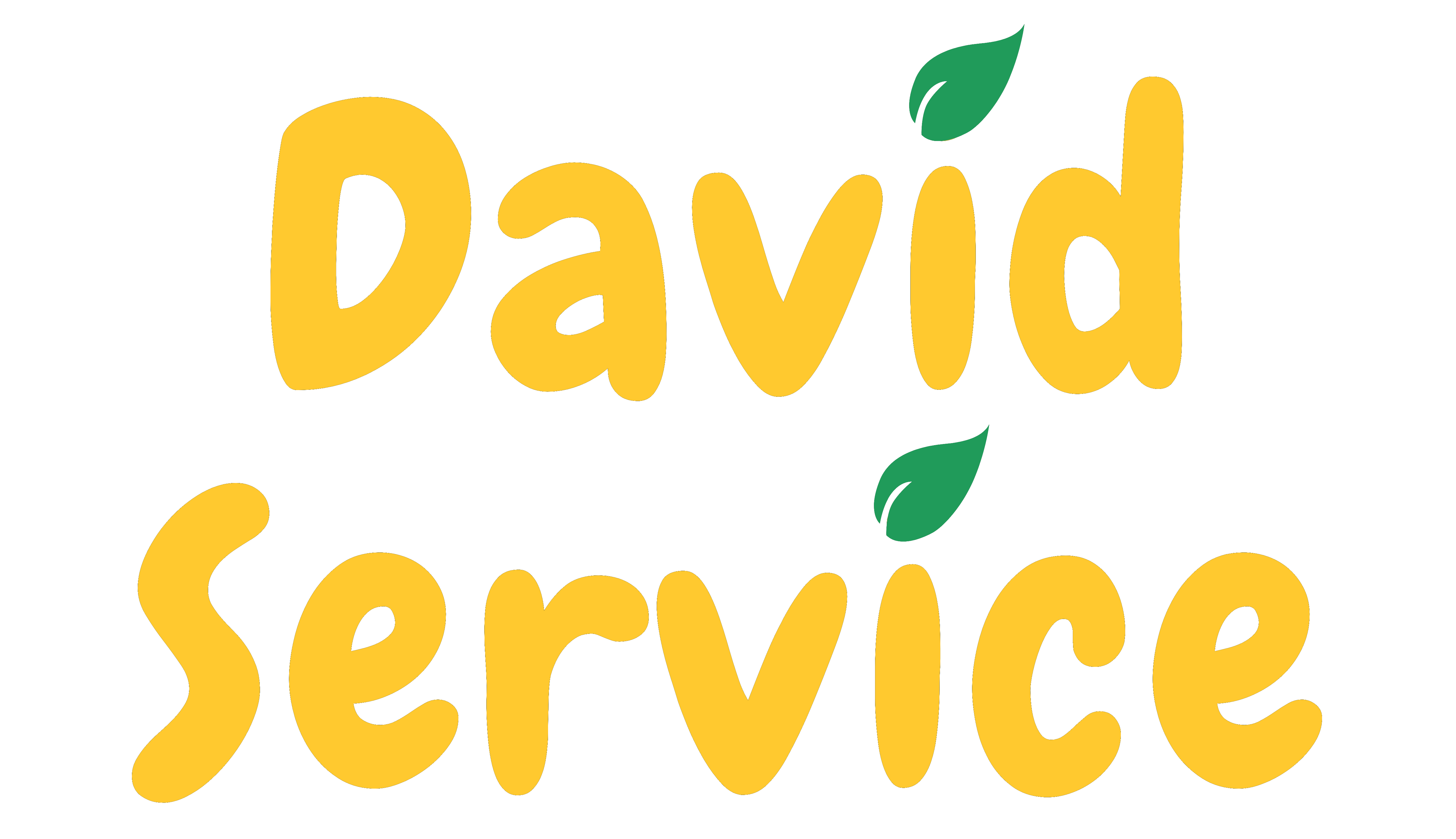 David Service - Multiservices à Peyrehorade
